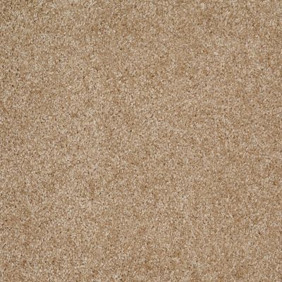Shaw Floors Shaw Design Center Free Time Reed 00201_5C787