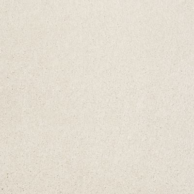 Shaw Floors Shaw Design Center Moment Of Truth Royal Silk 00100_5C789