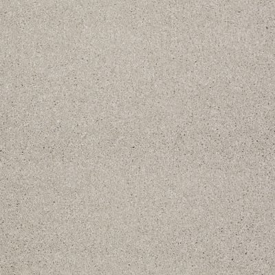Shaw Floors Shaw Design Center Moment Of Truth Soft Chamois 00103_5C789