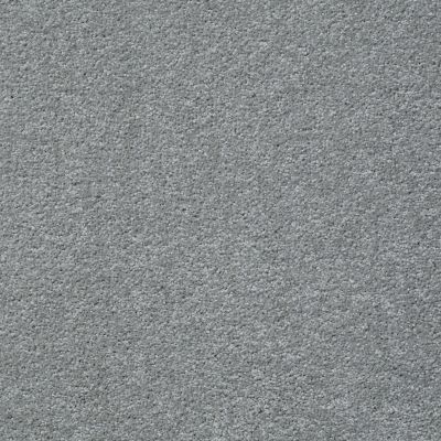 Shaw Floors Shaw Design Center Honest To Goodness Sterling 00500_5C793