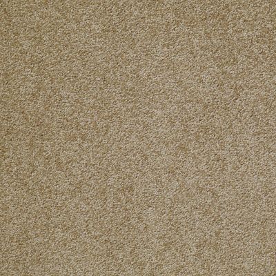 Shaw Floors Shaw Design Center Honest To Goodness Starcrest 00710_5C793
