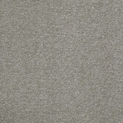 Shaw Floors Shaw Design Center Honest To Goodness Smooth Taupe 00712_5C793