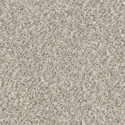 Shaw Floors Value Collections Cabana Bay (b) Net Seashell 00151_5E001