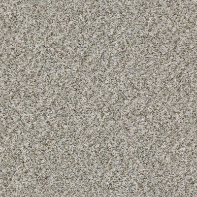 Shaw Floors Value Collections Cabana Bay (b) Net Stone 00550_5E001