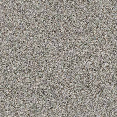 Shaw Floors Value Collections Cabana Bay (b) Net Sierra Mist 00555_5E001