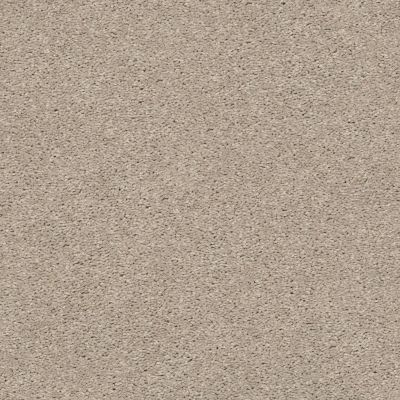 Shaw Floors Simply The Best Cabana Life Solid Net Shifting Sand 00105_5E003