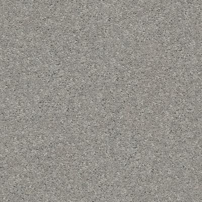 Shaw Floors Simply The Best Cabana Life Solid Net Dolphin 00521_5E003