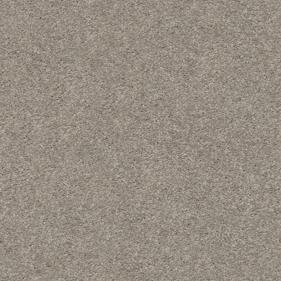 Shaw Floors Simply The Best Cabana Life Solid Net Perfect Taupe 00715_5E003