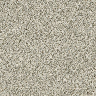 Shaw Floors Simply The Best Cabana Life (b) Net Seashell 00151_5E004