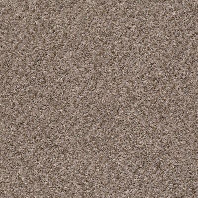 Shaw Floors Simply The Best Cabana Life (b) Net Brown Reed 00751_5E004