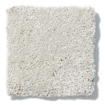 Shaw Floors Foundations Take The Floor Texture II Alpaca 5E006_00140