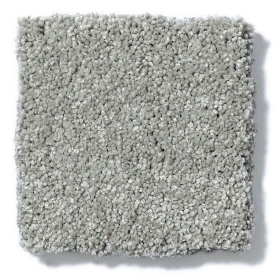 Shaw Floors Foundations Take The Floor Texture II Flint 5E006_00544
