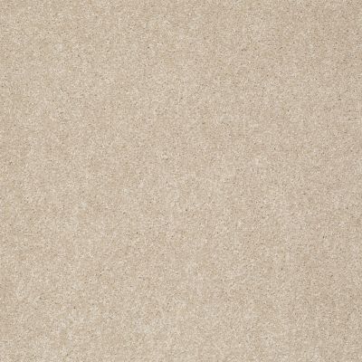 Shaw Floors Foundations Take The Floor Texture Blue Hickory 00711_5E007