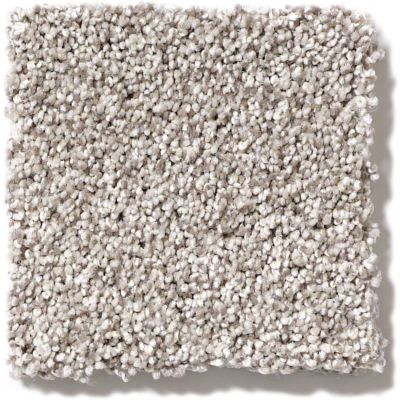 Shaw Floors Foundations Take The Floor Tonal I Silver Charm 5E008_00501