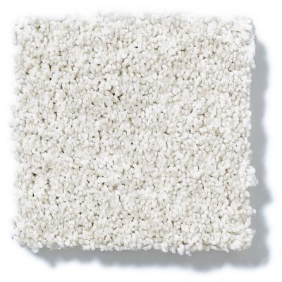 Shaw Floors Foundations Take The Floor Tonal II Orion 5E009_00160
