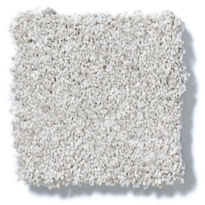 Shaw Floors Foundations Take The Floor Tonal Blue Classique 5E010_00161