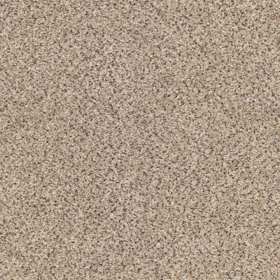 Shaw Floors Foundations Take The Floor Accent Blue Desert Sunrise 00172_5E013