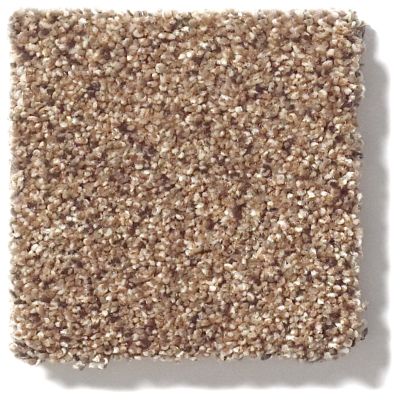 Shaw Floors Foundations Take The Floor Accent Blue Baltic Brown 5E013_00770