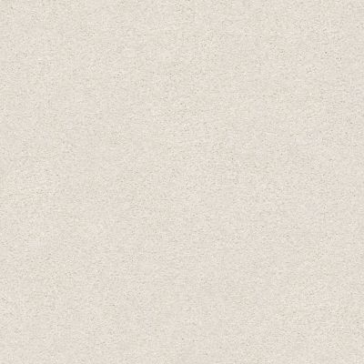 Shaw Floors SFA Fyc Ns I Net Warm Blanket (s) 114S_5E018