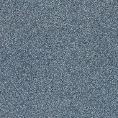 Shaw Floors SFA Fyc Ns I Net Lakeside Retreat (s) 413S_5E018