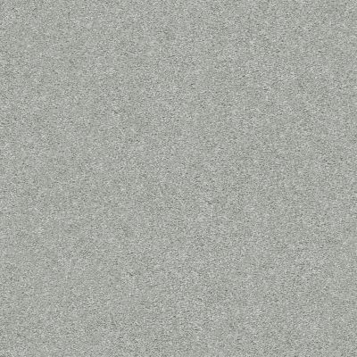 Shaw Floors SFA Fyc Ns I Net Water’s Edge (s) 430S_5E018