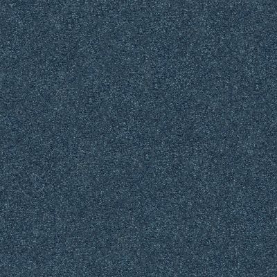 Shaw Floors SFA Fyc Ns I Net Twilight Golf (s) 434S_5E018
