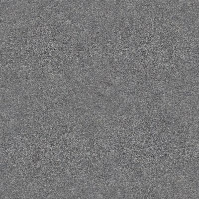Shaw Floors SFA Fyc Ns I Net Lighthouse Shadows (s) 520S_5E018