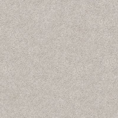 Shaw Floors SFA Fyc Ns I Net Dreamy (s) 537S_5E018