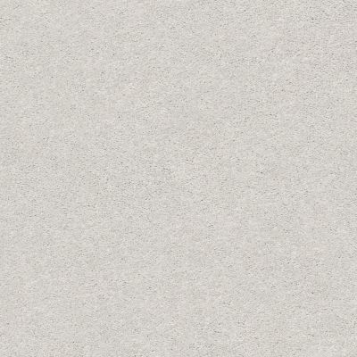 Shaw Floors SFA Fyc Ns I Net Morning Dew (s) 539S_5E018