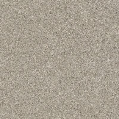 Shaw Floors SFA Fyc Ns I Net Back Patio (s) 724S_5E018