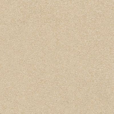 Shaw Floors SFA Fyc Ns II Net Sun Kissed (s) 110S_5E019