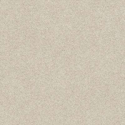Shaw Floors SFA Fyc Ns II Net Sand Castle (s) 127S_5E019