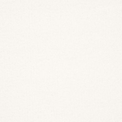 Shaw Floors SFA Fyc Ns II Net Wedding Day (s) 150S_5E019