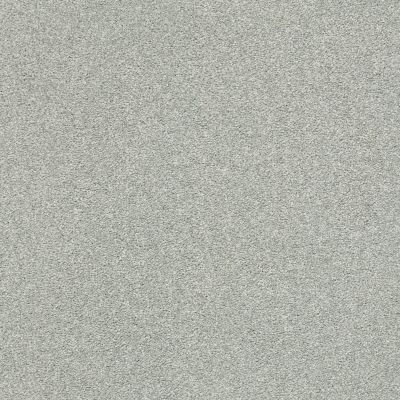 Shaw Floors SFA Fyc Ns II Net Distant Valley (s) 307S_5E019