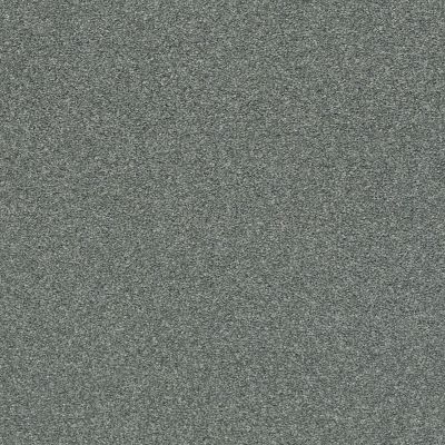 Shaw Floors SFA Fyc Ns II Net Cottage Garden (s) 308S_5E019