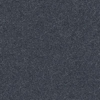 Shaw Floors SFA Fyc Ns II Net Washed Indigo (s) 440S_5E019