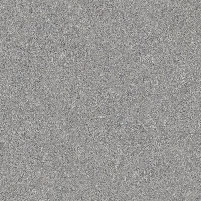 Shaw Floors SFA Fyc Ns II Net Misty Rain (s) 529S_5E019