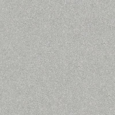 Shaw Floors SFA Fyc Ns II Net Polished Silver (s) 538S_5E019
