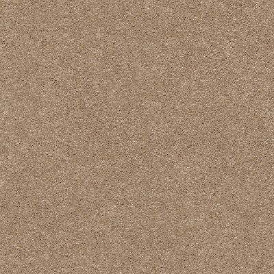 Shaw Floors SFA Fyc Ns II Net Falling Leaves (s) 720S_5E019