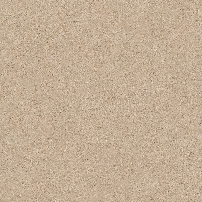 Shaw Floors SFA Fyc Ns II Net Walk On The Beach (s) 721S_5E019