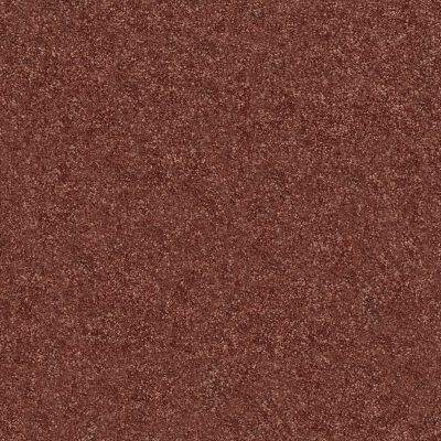 Shaw Floors SFA Fyc Ns II Net Serene Sunset (s) 804S_5E019