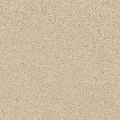 Shaw Floors SFA Fyc Ns Blue Net Sun Kissed (s) 110S_5E020