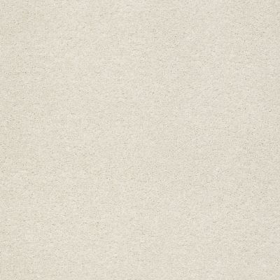 Shaw Floors SFA Fyc Ns Blue Net Champagne Toast (s) 153S_5E020