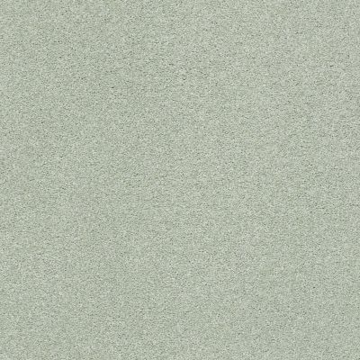 Shaw Floors SFA Fyc Ns Blue Net Willow Tree (s) 330S_5E020
