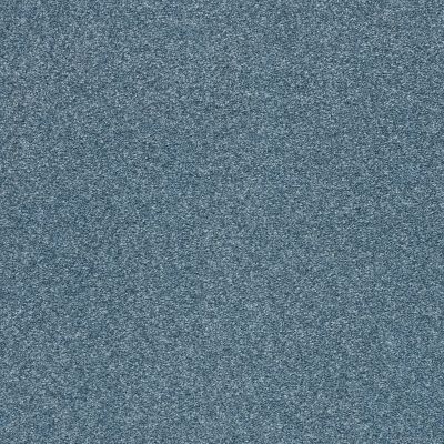 Shaw Floors SFA Fyc Ns Blue Net Lakeside Retreat (s) 413S_5E020