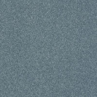 Shaw Floors SFA Fyc Ns Blue Net Tropical Hideaway (s) 431S_5E020