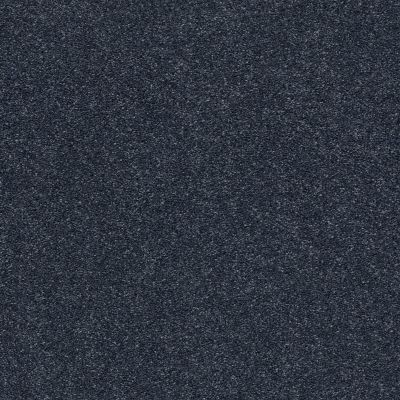 Shaw Floors SFA Fyc Ns Blue Net Star Gazing (s) 433S_5E020