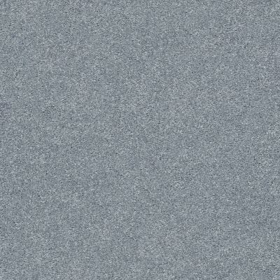Shaw Floors SFA Fyc Ns Blue Net Dolphin Sighting (s) 510S_5E020