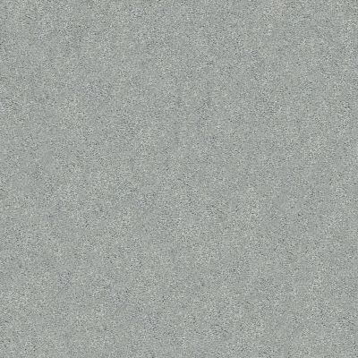 Shaw Floors SFA Fyc Ns Blue Net Restful Day (s) 512S_5E020