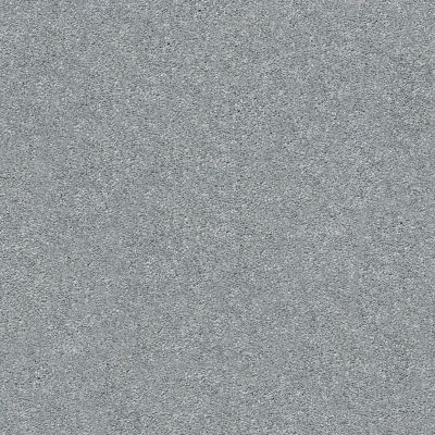 Shaw Floors SFA Fyc Ns Blue Net Cool Breeze (s) 525S_5E020